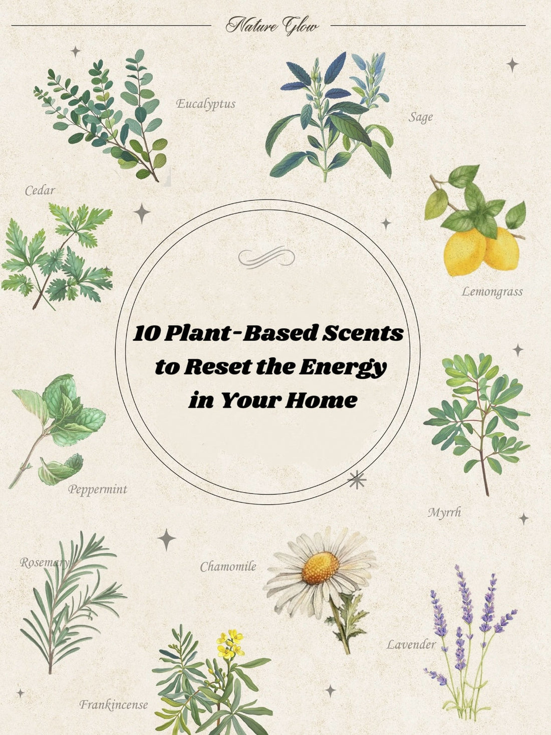 Top 10 Purifying Plant Scents for a Calmer, Cleaner Home